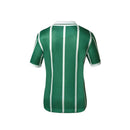 Palmeiras Retro Jersey 1993